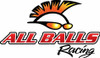 All Balls Racing
